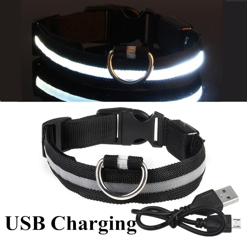 Verstellbares LED-Haustierhalsband