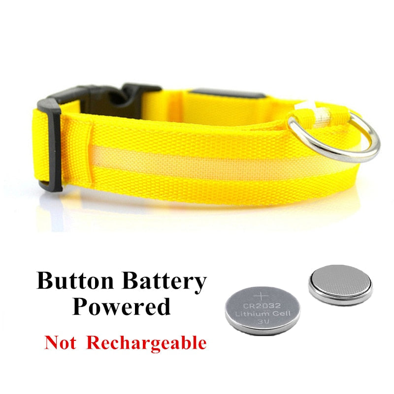 Verstellbares LED-Haustierhalsband
