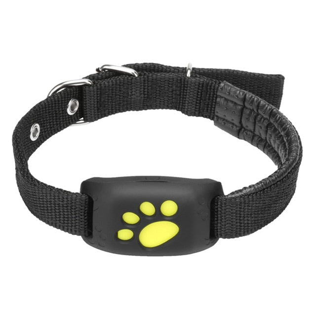 GPS-Tracker-Halsband für Haustiere