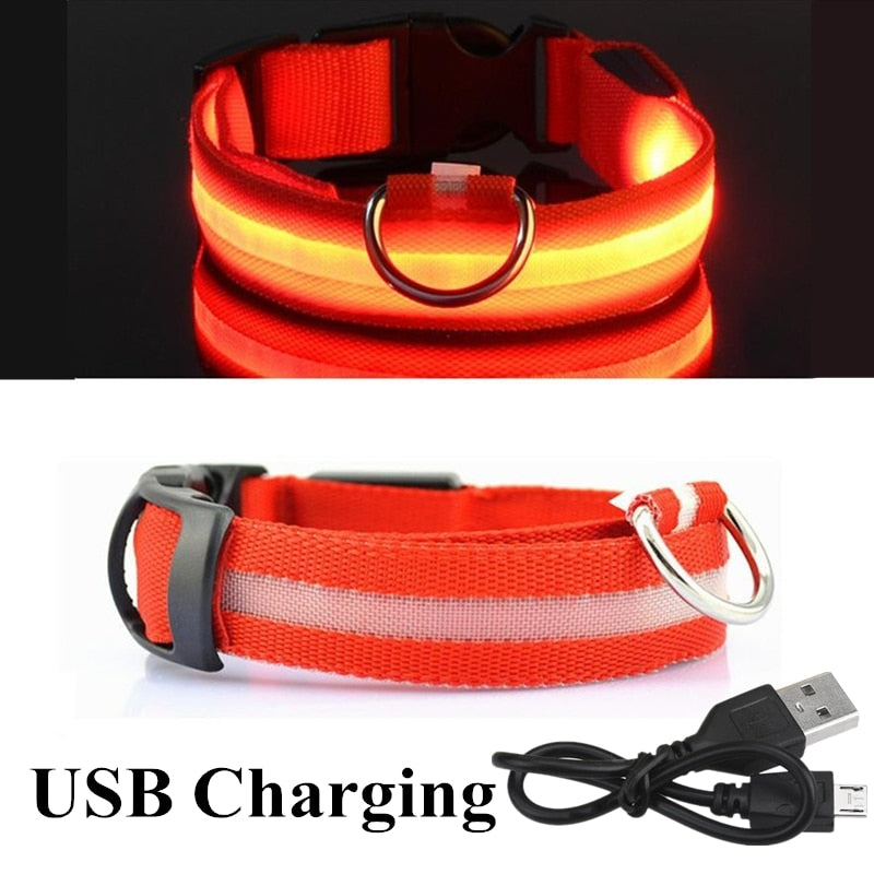 Verstellbares LED-Haustierhalsband