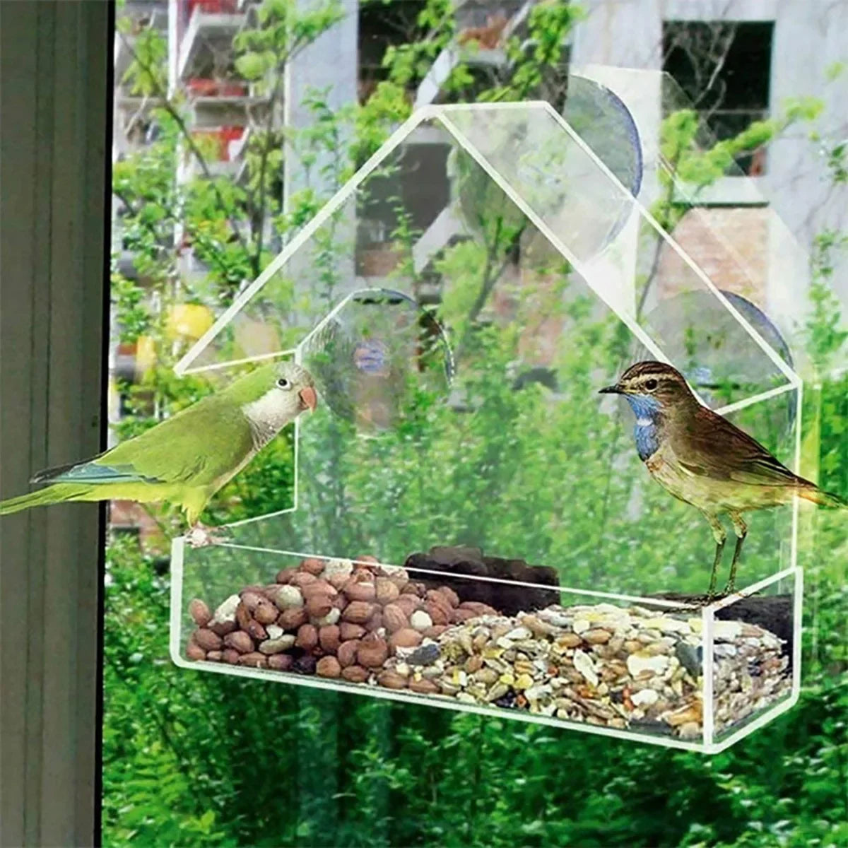 Vogelkäfig aus Acryl, Kolibri-Futterhaus, transparenter Wildtisch, abnehmbare Saugnäpfe, verschiebbare Futterschale, an der Wand montierter Futterspender