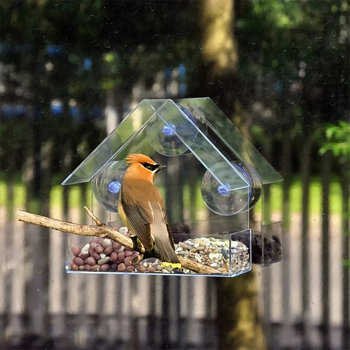 Vogelkäfig aus Acryl, Kolibri-Futterhaus, transparenter Wildtisch, abnehmbare Saugnäpfe, verschiebbare Futterschale, an der Wand montierter Futterspender
