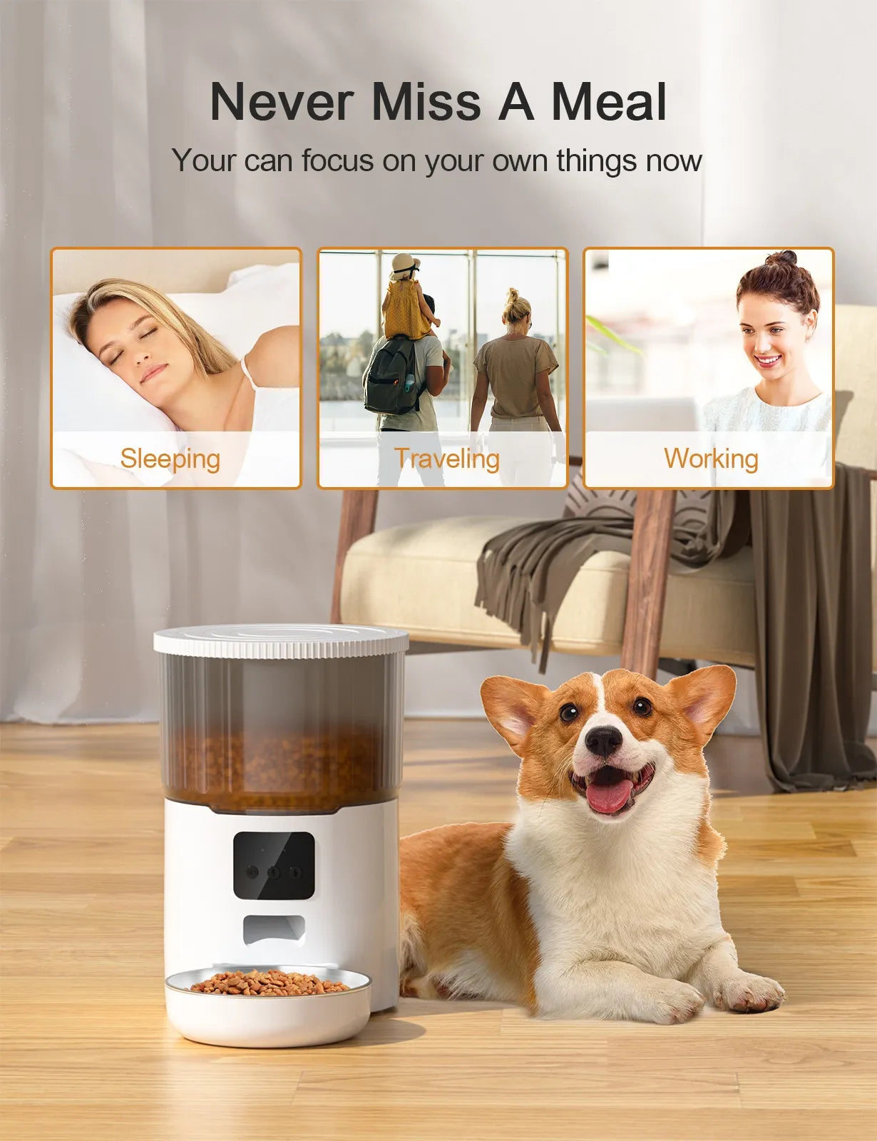 Automatischer Futternapf für Katzen und Hunde