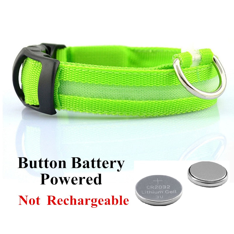 Verstellbares LED-Haustierhalsband