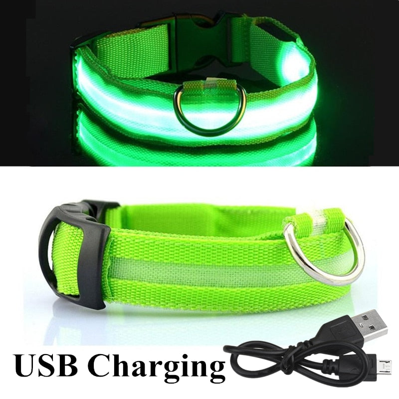 Verstellbares LED-Haustierhalsband