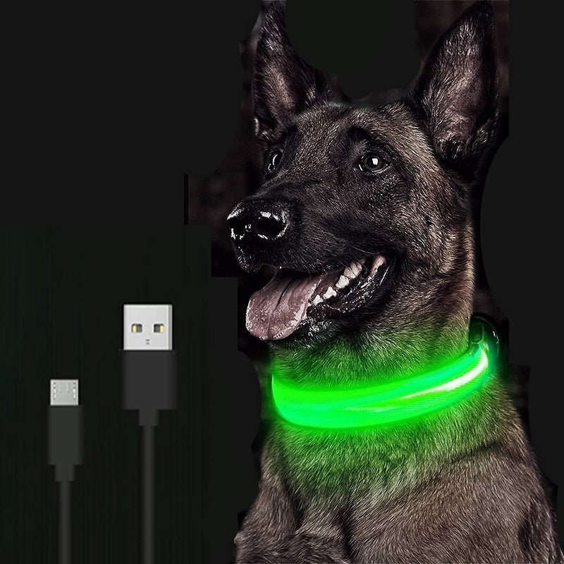 Verstellbares LED-Haustierhalsband