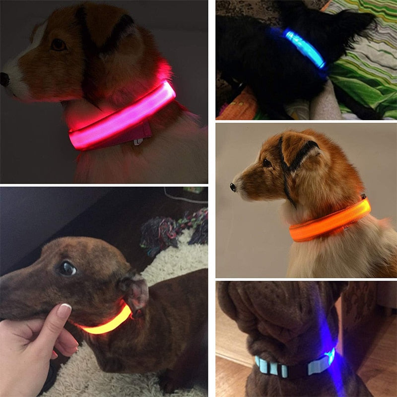 Verstellbares LED-Haustierhalsband