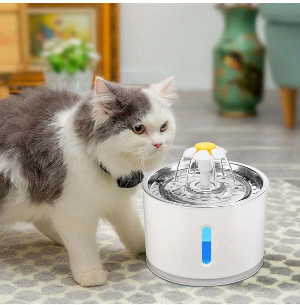 USB Powered Cat Water Fountain