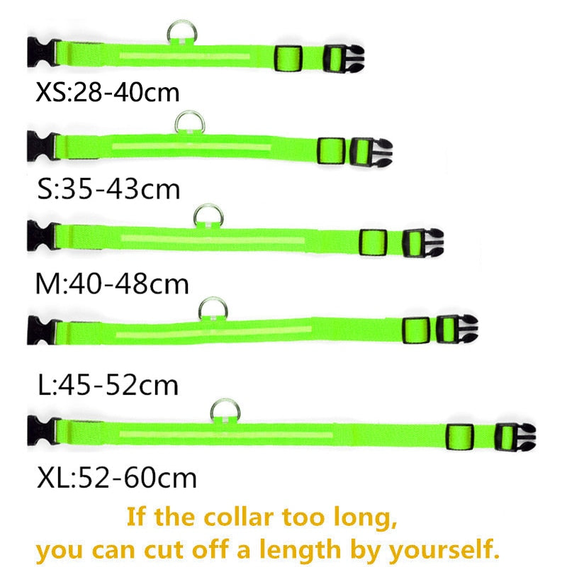 Verstellbares LED-Haustierhalsband