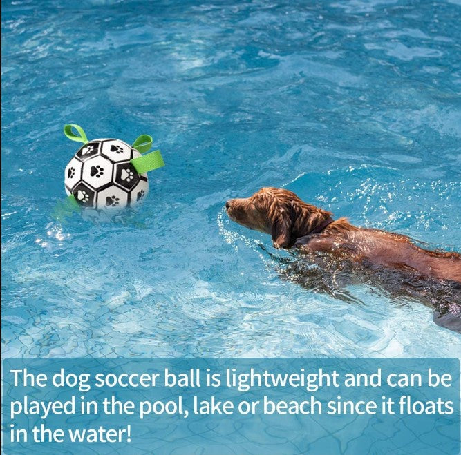 Hundespielzeug Interaktiver Haustierfußball