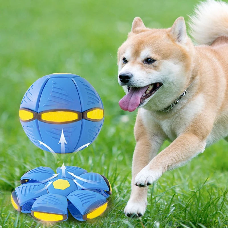 Pet Toy Futurism Saucer Ball Dog Toys Magic Funny Flying Saucer Outdoor Dog Training Toy Pelota Perro Dogs Accessoires