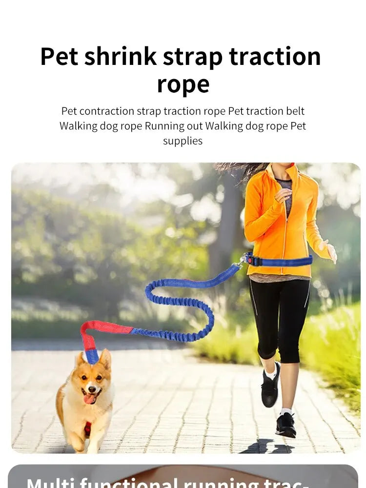 Pet Leash Multifunctional Dog Walking Leash Stretchable Elastic Explosion-Proof Punch Outdoor Running Dog Walking Leash