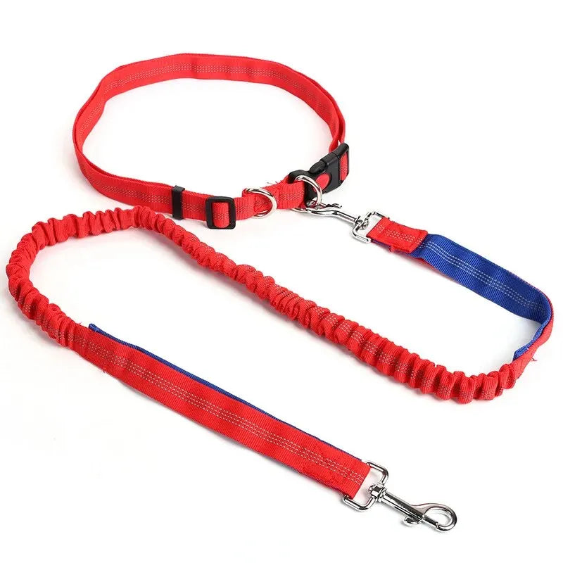 Pet Leash Multifunctional Dog Walking Leash Stretchable Elastic Explosion-Proof Punch Outdoor Running Dog Walking Leash