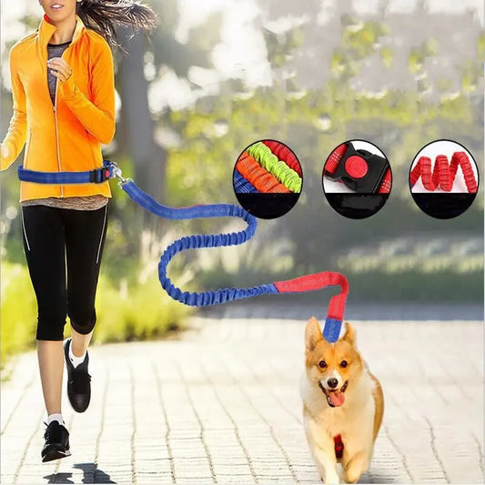 Pet Leash Multifunctional Dog Walking Leash Stretchable Elastic Explosion-Proof Punch Outdoor Running Dog Walking Leash