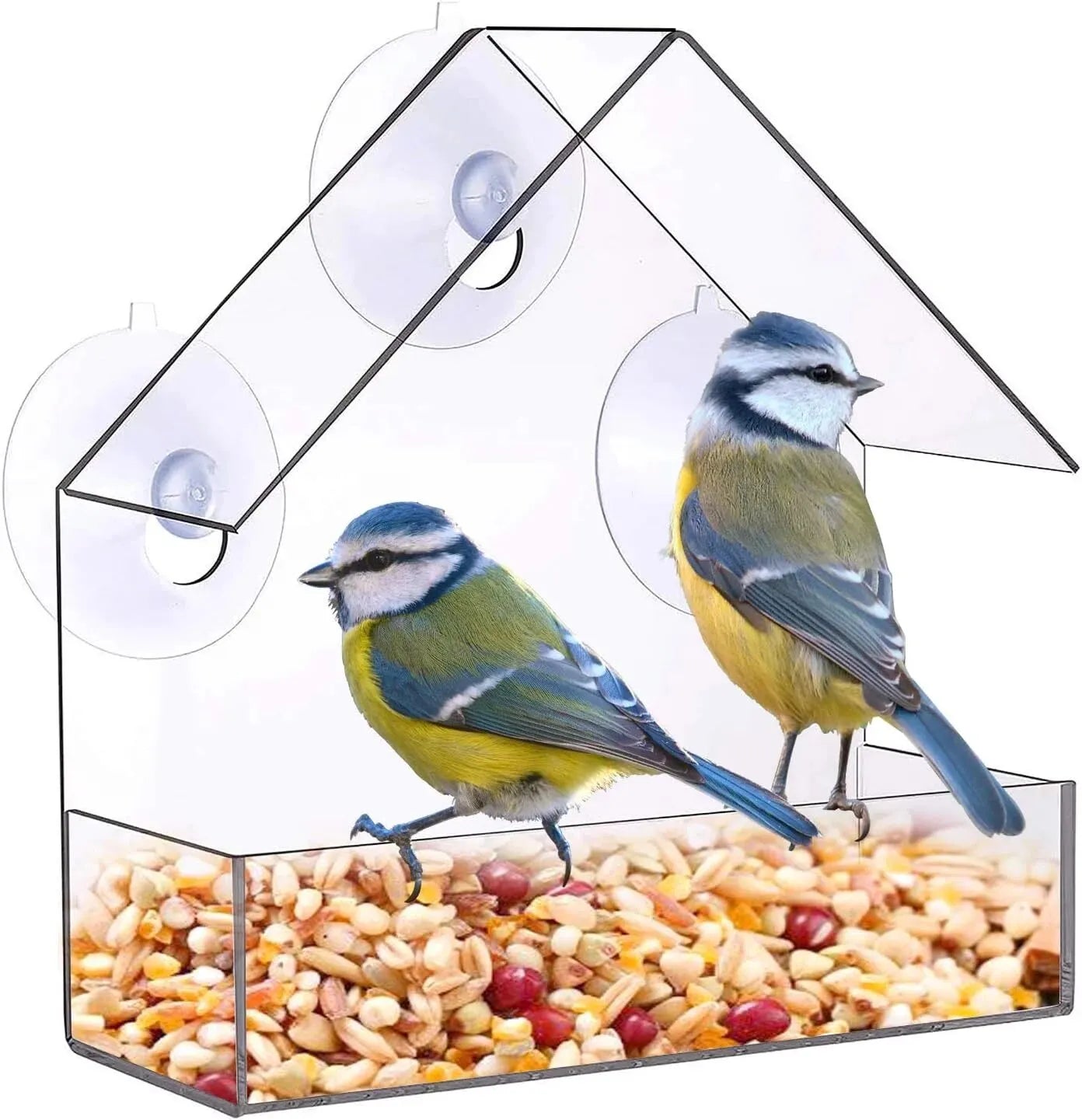 Acrylic Bird Feeder Clear Window Outside Hanging Bird Feeder House with Suction Cup for Garden Outdoor Backyard Wildlife Birding