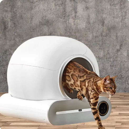 Automatische Katzentoilette Katzentoilette Smart Pooper Scooper