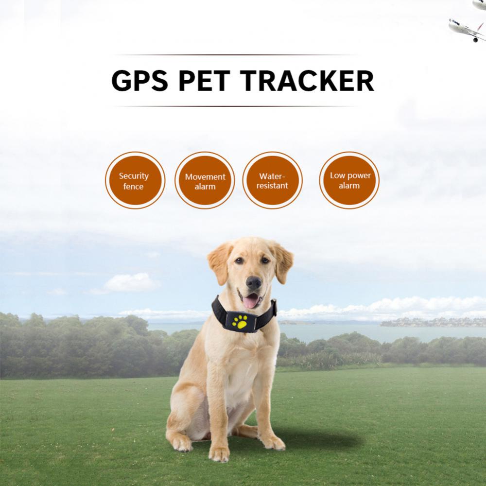 Κολάρο GPS Tracker Pet