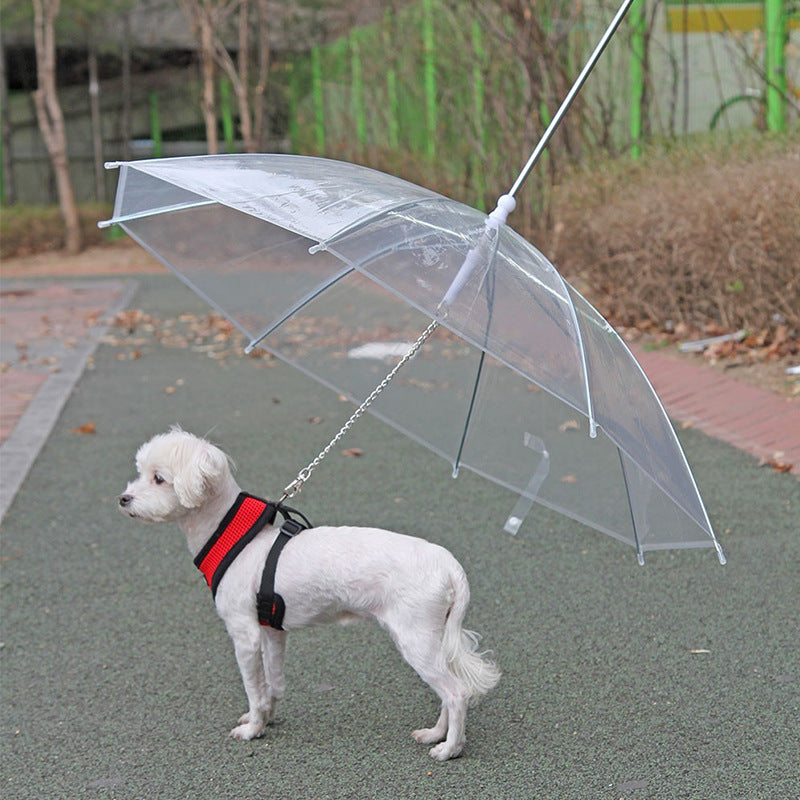 Regenschirmleine für Haustiere
