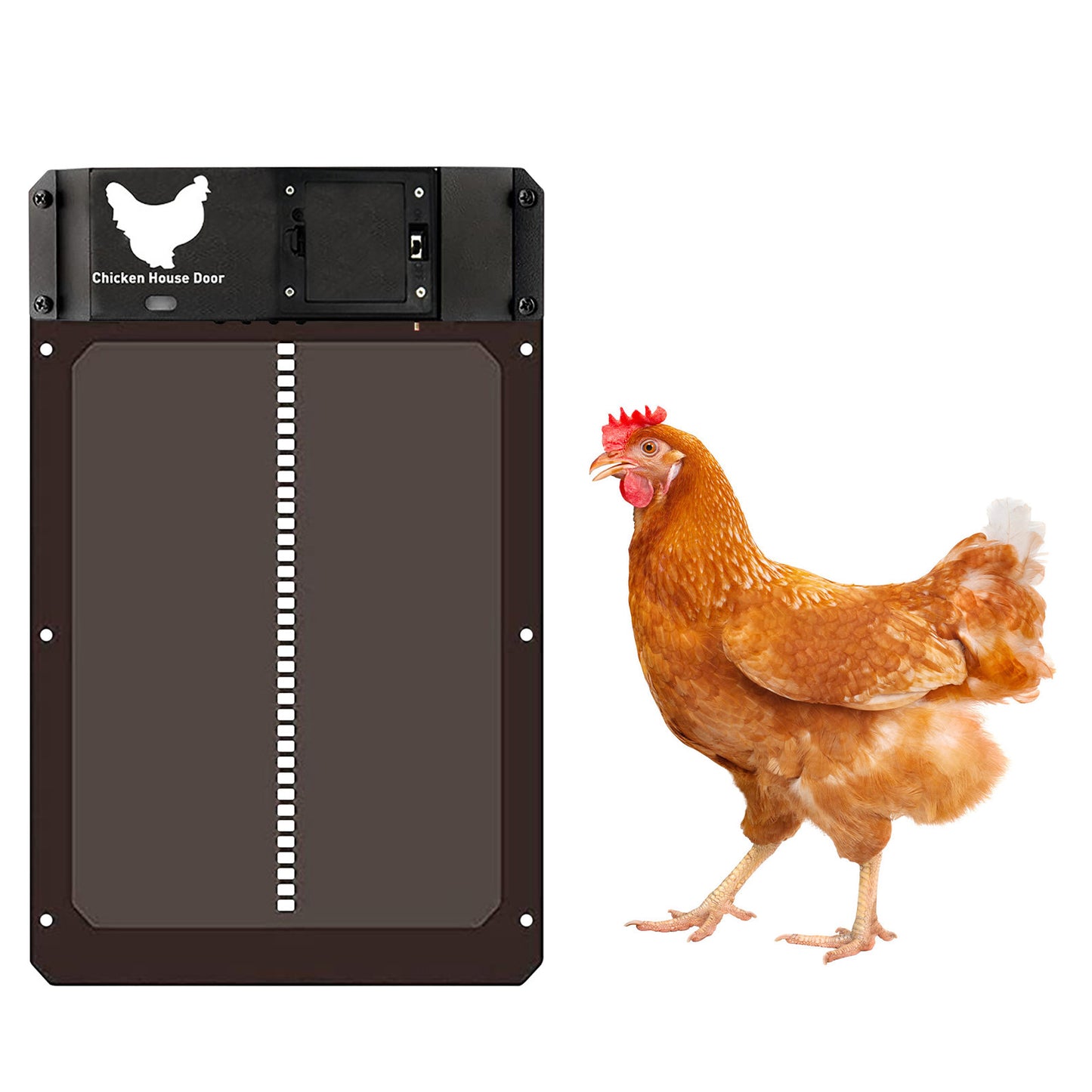Automatische Hühnerstalltür