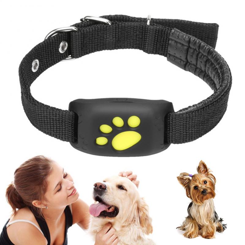 GPS-Tracker-Halsband für Haustiere
