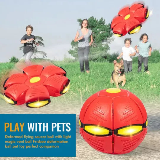 Fliegender Untertassenball für Haustiere