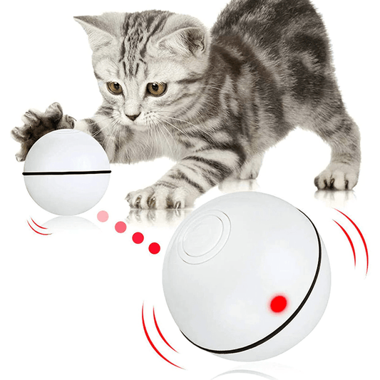 Intelligenter interaktiver Haustierball